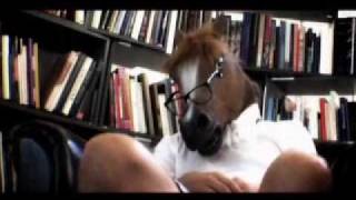 Pony Boy