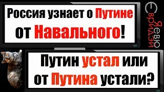Россия узнает о Путине от Навального