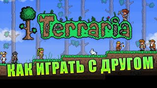 Как играть в Terraria с другом на пиратке??
