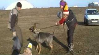 SDV 0545 xvid