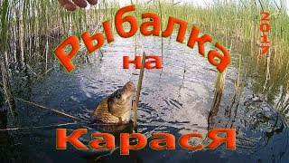 рыбалка на карася в камышах