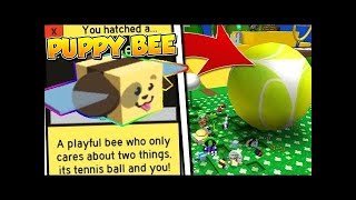 ROBLOX.Bee swarm simulator.админ код на быстрый фарм.покупка шенка