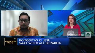 Hitung Untung Hilirisasi Komoditas Andalan, RI Dapat Apa?