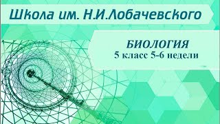 Биология 5 класс 5-6 недели. Среда обитания. Экологические факторы