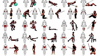Вебинар "Фитнес дневники и фитнес планы"