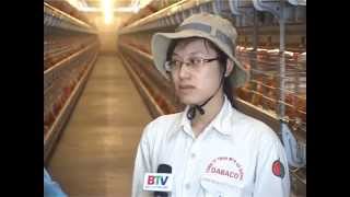 CÔNG TY GÀ GIỐNG DABACO ỨNG DỤNG CÔNG NGHỆ CAO .