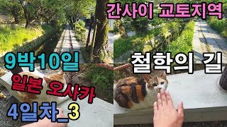 나 홀로 일본 오사카 9박 10일 여행!!! 4일차!! 교토 지역 관광하다! 파트 3 - 철학의 길
