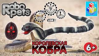Robo Pets Snake