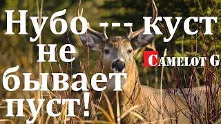 Научу попадать по незасвеченным невидимым танкам противника. Нубо-куст не бывает пуст!