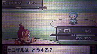 ポケモンプラチナ・光るヒコザル！【Pokémon Platinum - shiny Chimchar】
