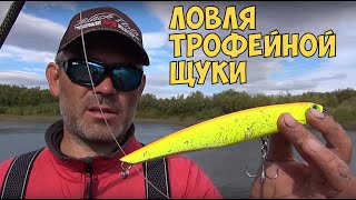 Ловля трофейной щуки.