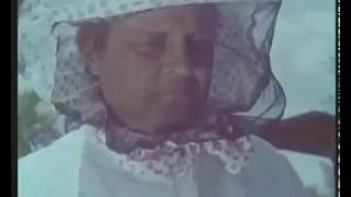 ПЧЕЛОВОДСТВО учебный кинокурс СССР 1969 г. СК