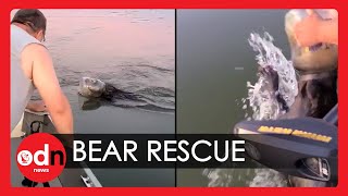 Bear With Head Stuck in Plastic Tub Rescued by Brave Couple