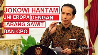 BYE BYE EROPA!!! Jokowi Tegaskan Larangan Ekspor Nikel Hingga CPO