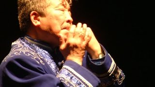 Алтайский варган. Комус Алтай. Ногон Шумаров уроки игры на варгане алтайском Altai khomus jaw's harp