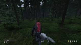 DayZ Zombies Wolves Bear