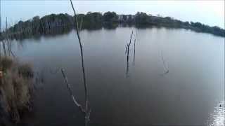 test x8 syma with gimbal 2d