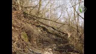 Befejeződött az önkormányzati tűzoltó-képzés