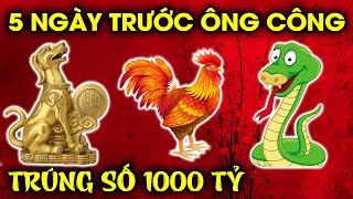 3 CON GIÁP ĐÚNG 5 NGÀY TRƯỚC TẾT ÔNG CÔNG, TIỀN VỀ NHƯ NƯỚC LŨ, CUỐN SẠCH NỢ NẦN, ĐỔI ĐỜI GIÀU TO.