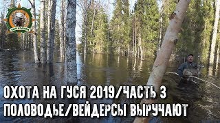 Охота на гуся 2019/Еле выбрались с избы/Половодье/3 часть