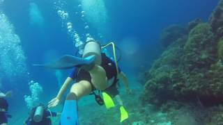 Cozumel, MX - Discover Scuba : Dive 1