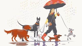 СОБАКА В ДОМЕ: как приучить СОБАКУ к ТУАЛЕТУ| ходить на улицу
