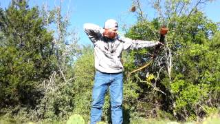 Bob Lee Recurve