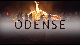 One Day in Odense | Expedia