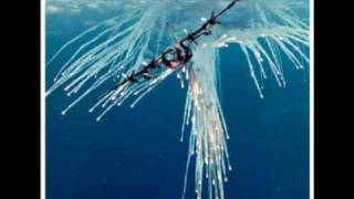 AC-130 Angel of DEATH Flare