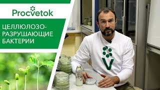 Забытый секрет плодородия почв и здоровых урожаев!