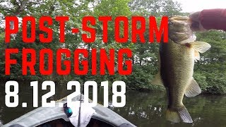 Post-Storm Frogging - The Big Girls are Biting!