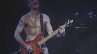 EDDIE VAN HALEN - guitar solo  (Tour 2004)