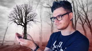 Et Si Toutes Les Forêts Sur Terre Disparaissaient ? (en 360s)