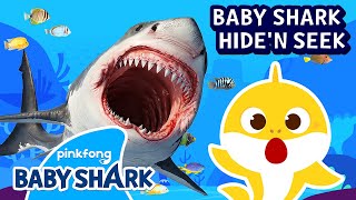 Baby Shark's Terrifying Hide and Seek | Is that a Real Shark?! | Hide'n Seek 