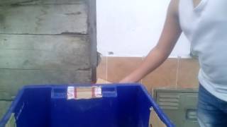 Jaula casera para hamster