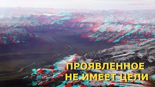 Проявленное не имеет цели [Н. Махарадж]
