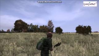 DayZ (Standalone)-ошибки в игре !!!