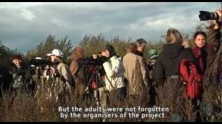 Cranes and Cranberries of the Miory District ecological festival