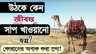 উঠ কেন জীবন্ত সাপ খায়? কোরানের তথ্য/Researching by Quran