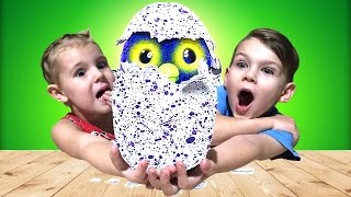 Hatchimals СУПЕР ЯЙЦО Хетчималс ИГРАЕМ ВМЕСТЕ Вылупился ДРАКОНЧИК Видео для детей Hatchimals toys