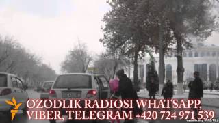 Тошкентлик корчалонлар 8 март куни аёлларга бепул таксичилик қилади