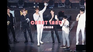 180203 캐럿랜드 Gashina 가시나 민규 Seventeen Mingyu 세븐틴 팬미팅