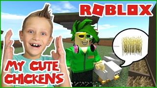 My Cute Chickens are Eating Wheat! / Roblox Skyblock 2