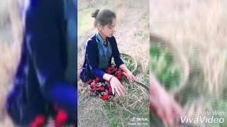 #gadwLi tik tok fwan baag re
