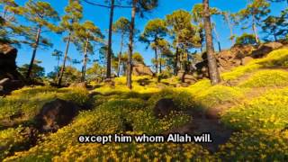 Sourate Zoumar - Muhammad Luhaidan