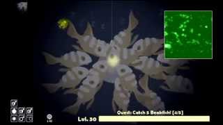 Cat Goes Fishing Guide - Bonefish