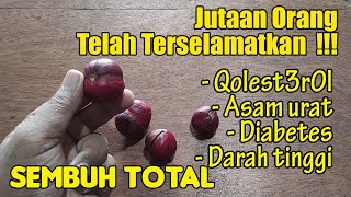 BANYAK YANG TELAH TERTOLONG... QOLESTEROL TINGGI, ASAMURAT, DIABETES, D4RAH TINGGI SEMBUH ALAMI