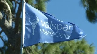 Four-way log jam atop the leaderboard at Valspar | Highlights