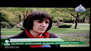 Samsung DVB-T tuning