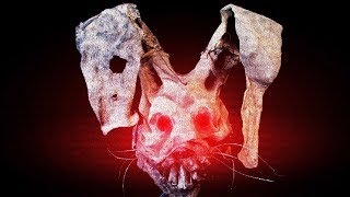 2 HORROR GAMES #2